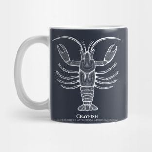 Crayfish with Common and Latin Names - detailed animal design Mug